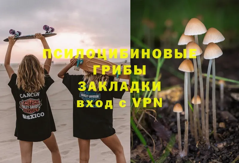 Галлюциногенные грибы Magic Shrooms  купить закладку  гидра ONION  Кореновск 